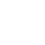 Icon for github